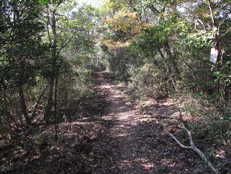 20131116hike (261)